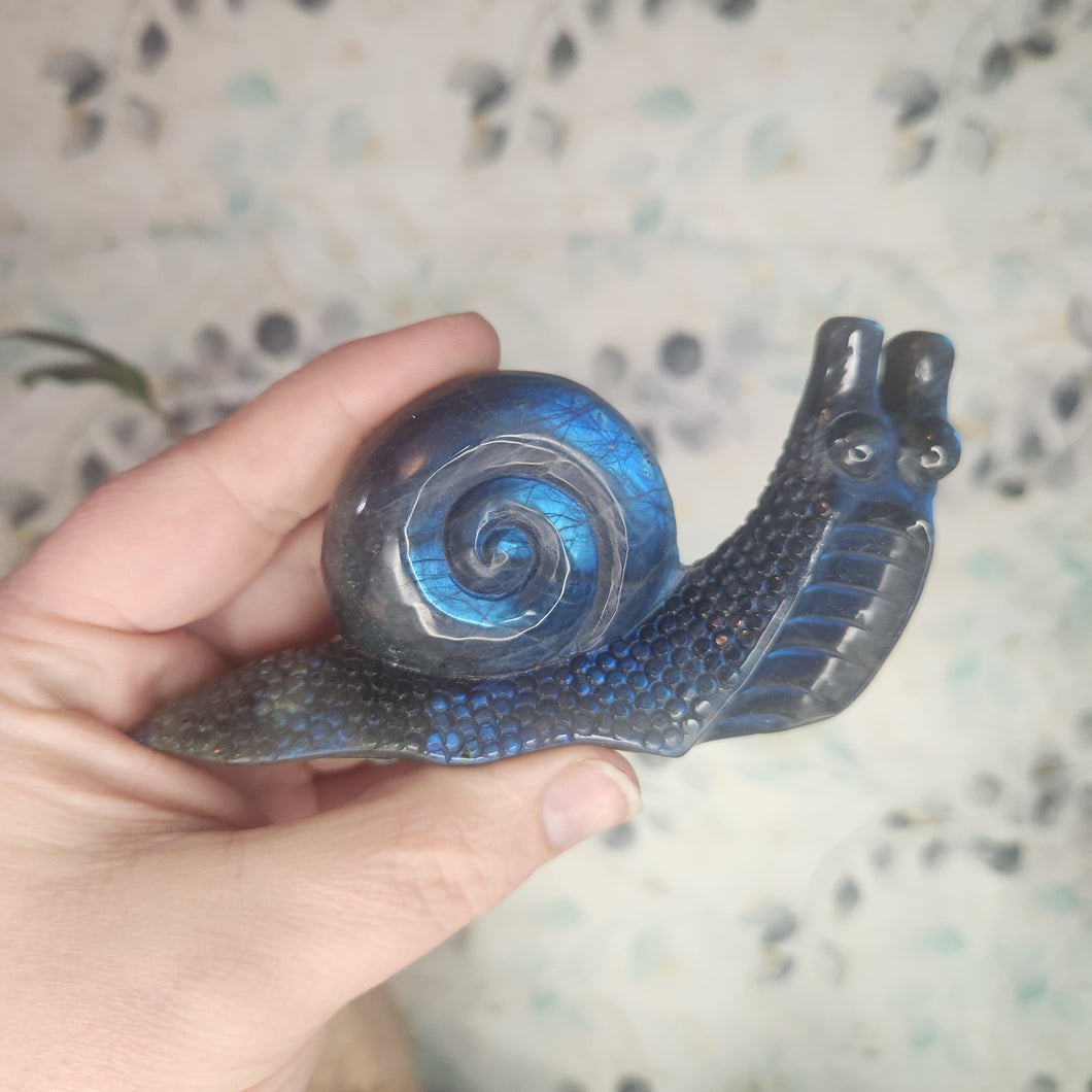 Blue Flash Labradorite Snail