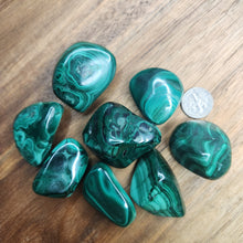 Load image into Gallery viewer, Malachite Tumbles

