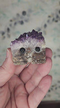 Load and play video in Gallery viewer, Amethyst Rock Buddy
