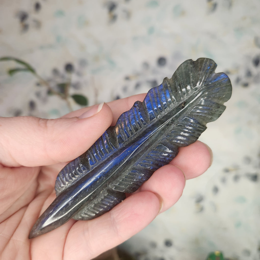 Blue Flash Labradorite Feather